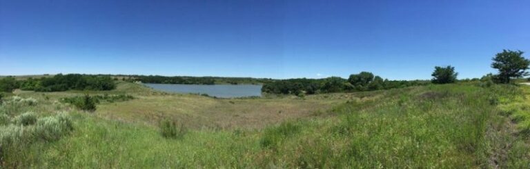 spring creek 768x245